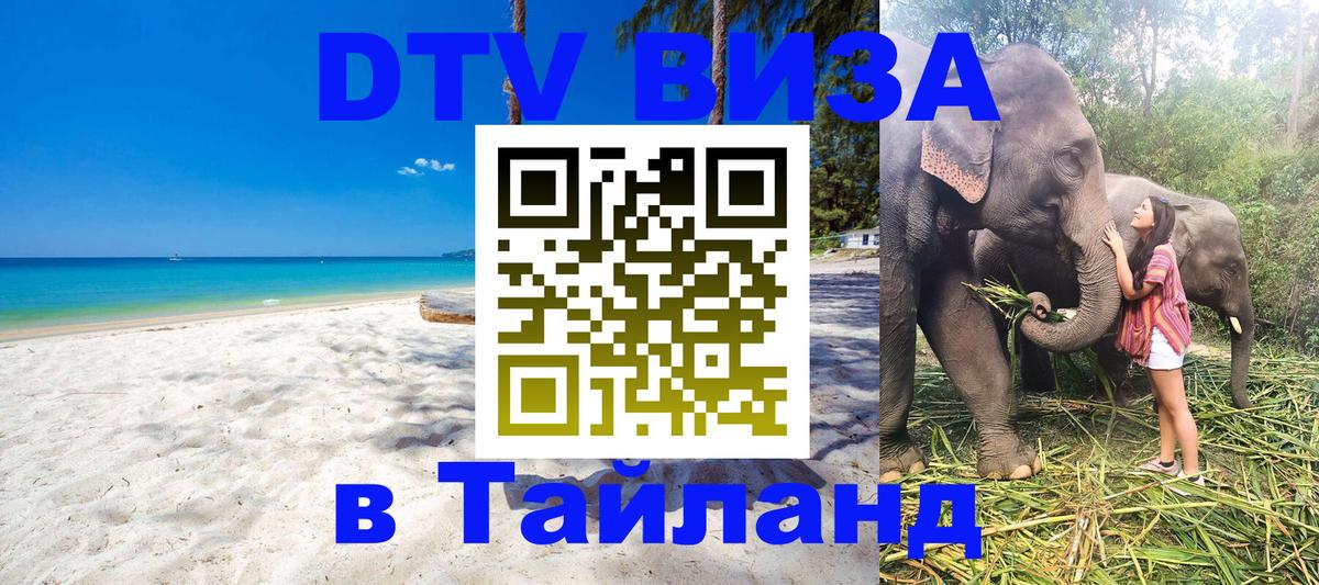 Оформление DTV визы под ключ: стоимость и тарифы, только загранпаспорт - Чанг  19.11.2025 